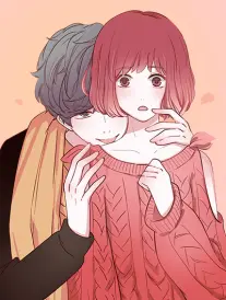 七日房东海报